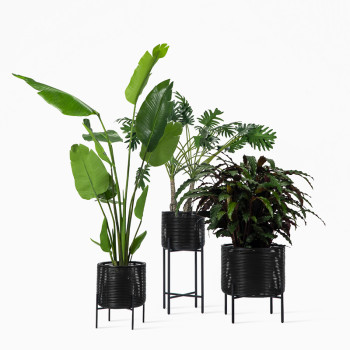 Trio of Vincent Sheppard Ivo plant stands in black, each featuring a woven design with metal legs, displaying various green plants in different sizes.