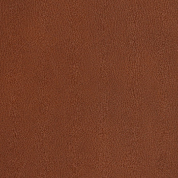 Close-up of Vincent Sheppard light brown aniline leather with a smooth, natural grain texture.