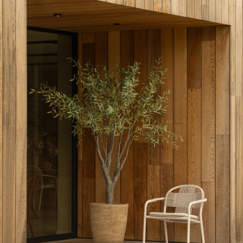 Outdoor area with a Vincent Sheppard Cleo lounge chair in dune white placed beside a large potted olive tree in a Vincent Sheppard Saya plant pot. The space features wooden cladding on the walls and decking.