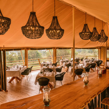 Espace de restauration aux Bushtop Camps avec des chaises de salle à manger Edgard dotées de bases en acier A sous des lustres suspendus.